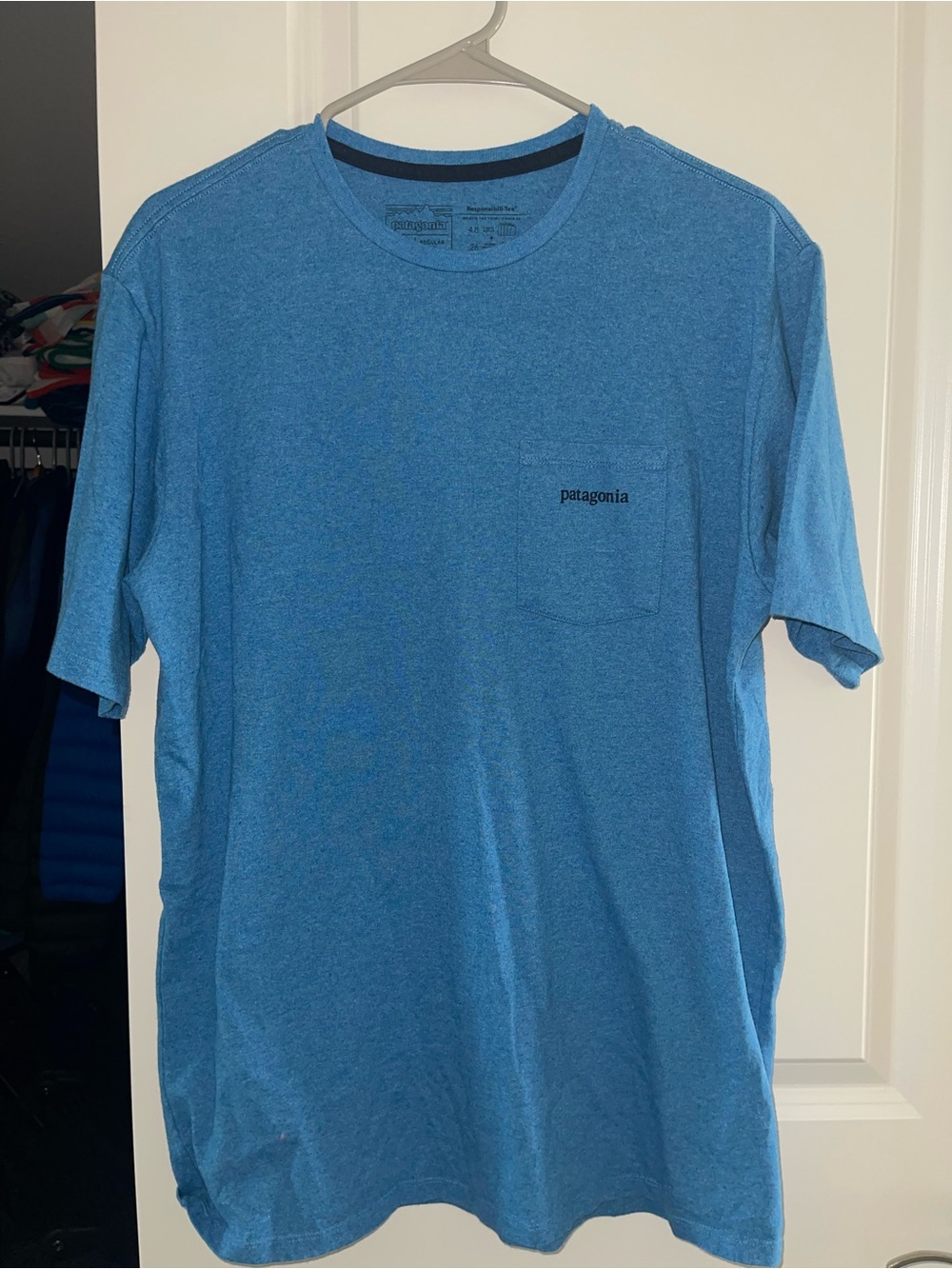 Patagonia shirt